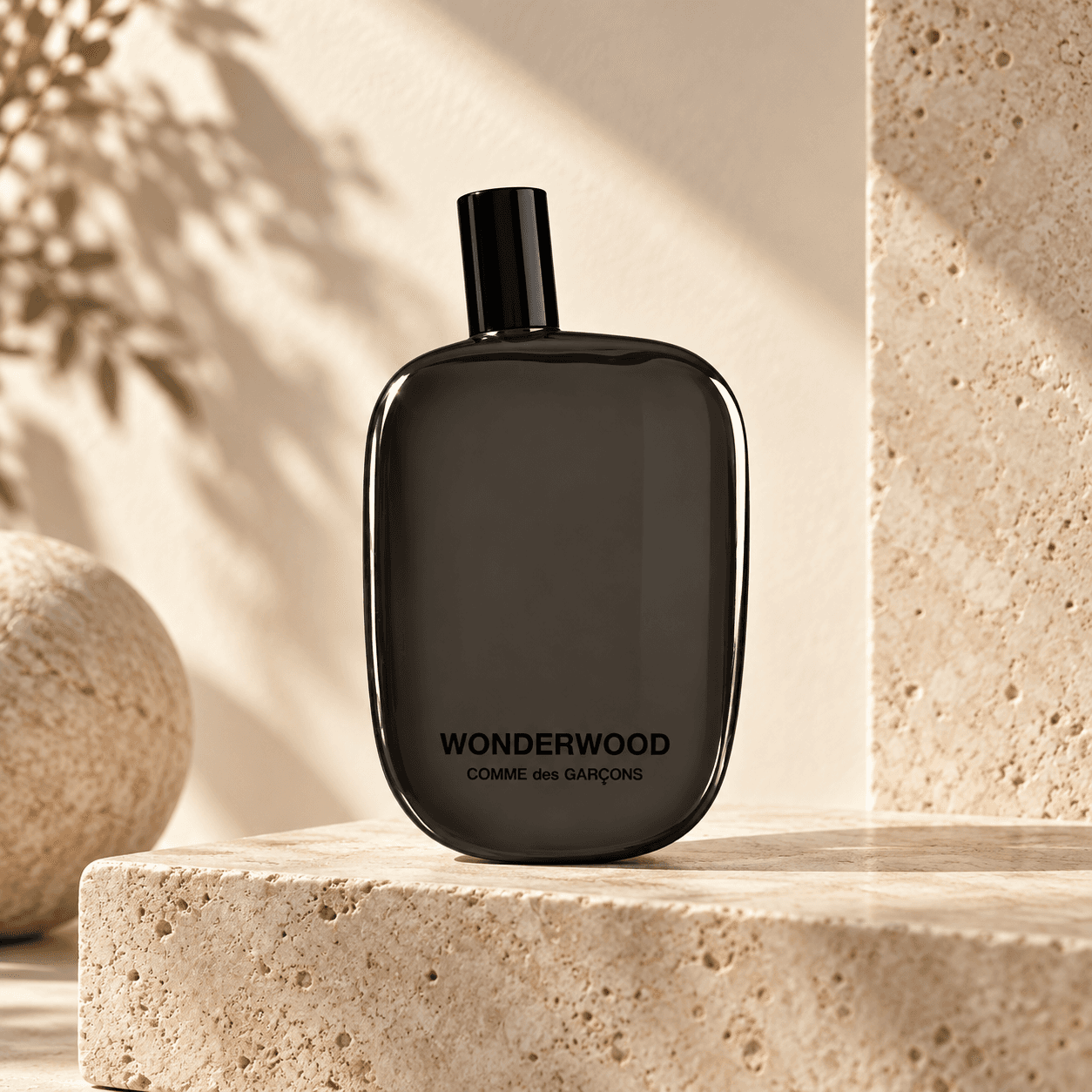 Comme des Garcons Wonderwood