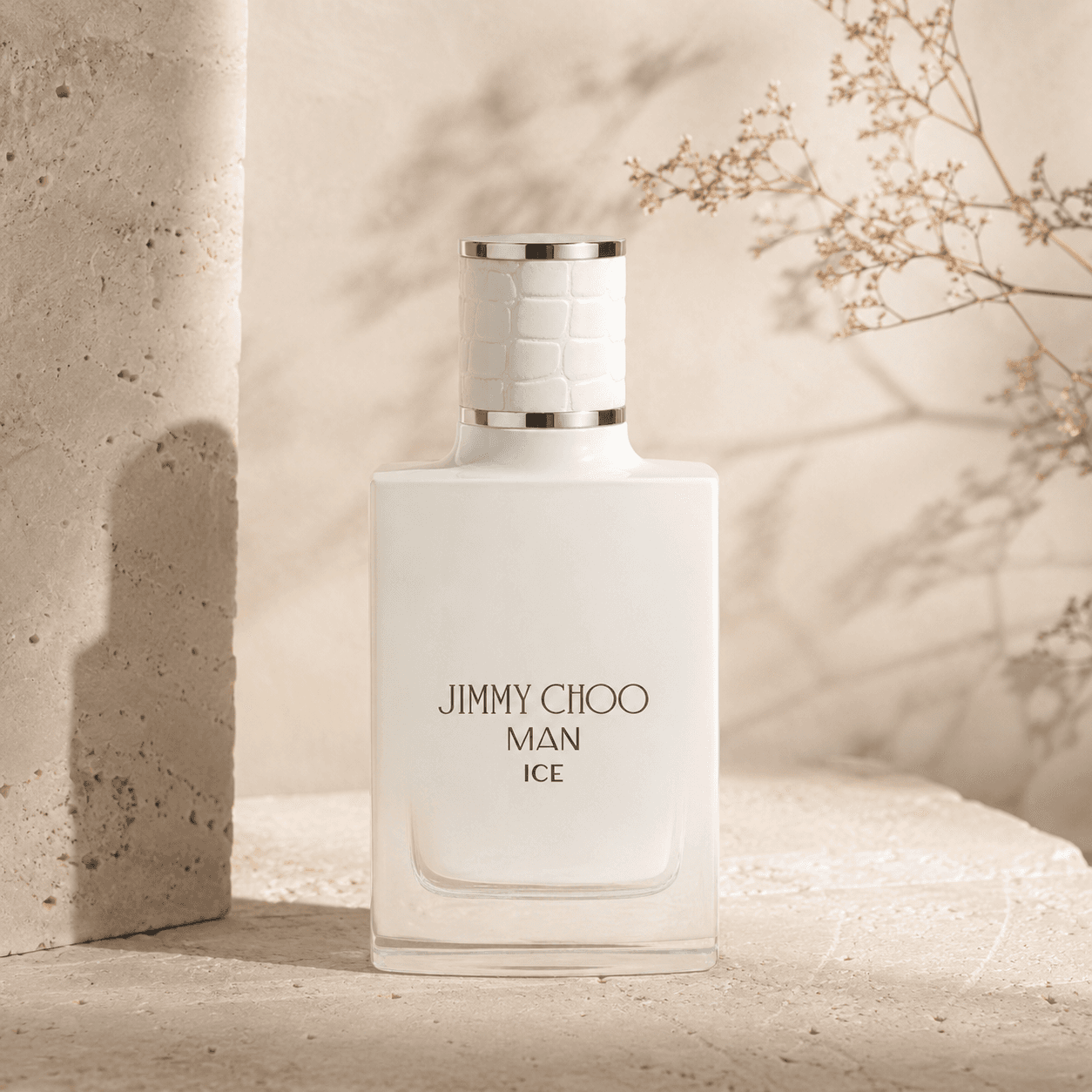 Jimmy Choo Man Ice
