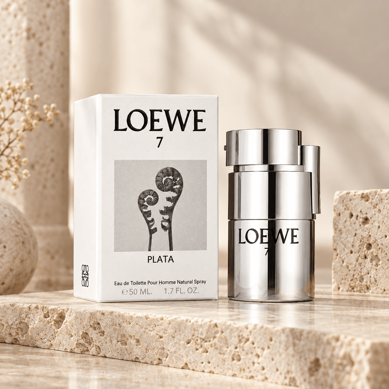Loewe 7 Plata