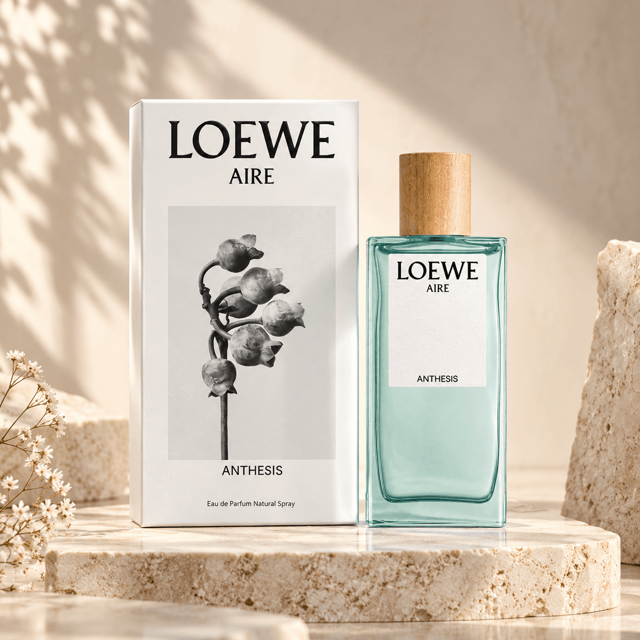 Loewe Aire Anthesis