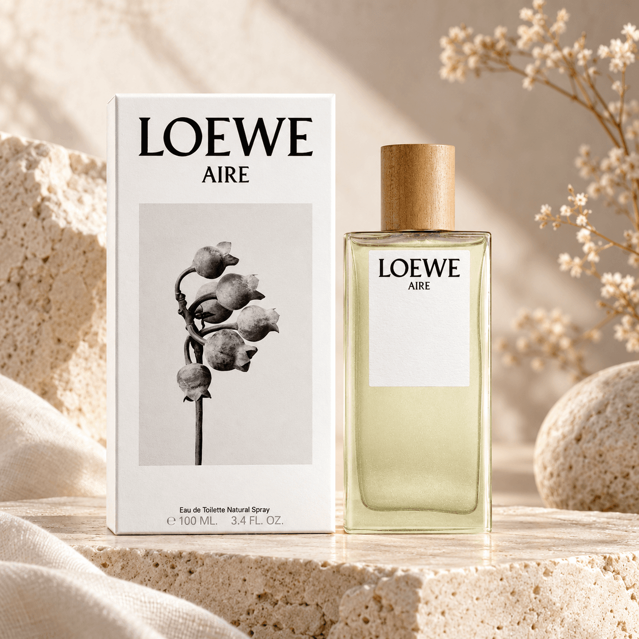 Loewe Aire