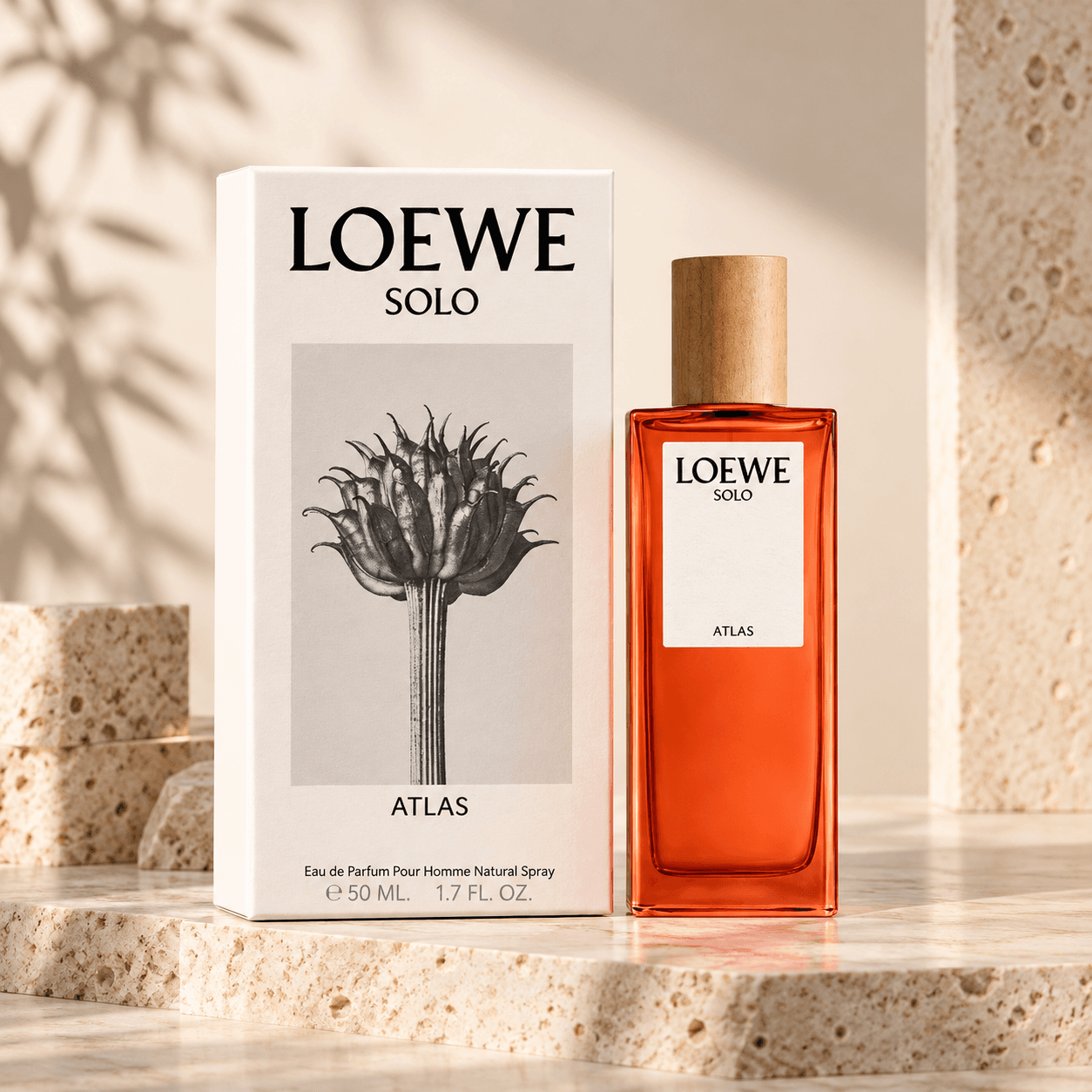 Loewe Solo Atlas