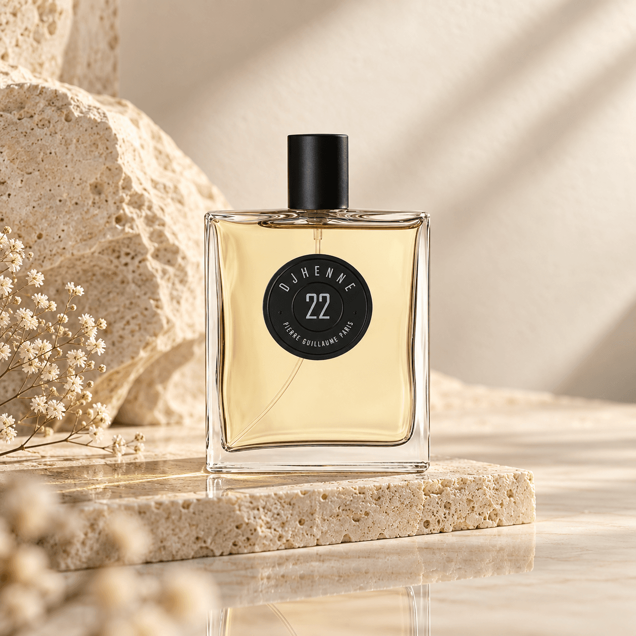 Pierre Guillaume 22 Djhenne