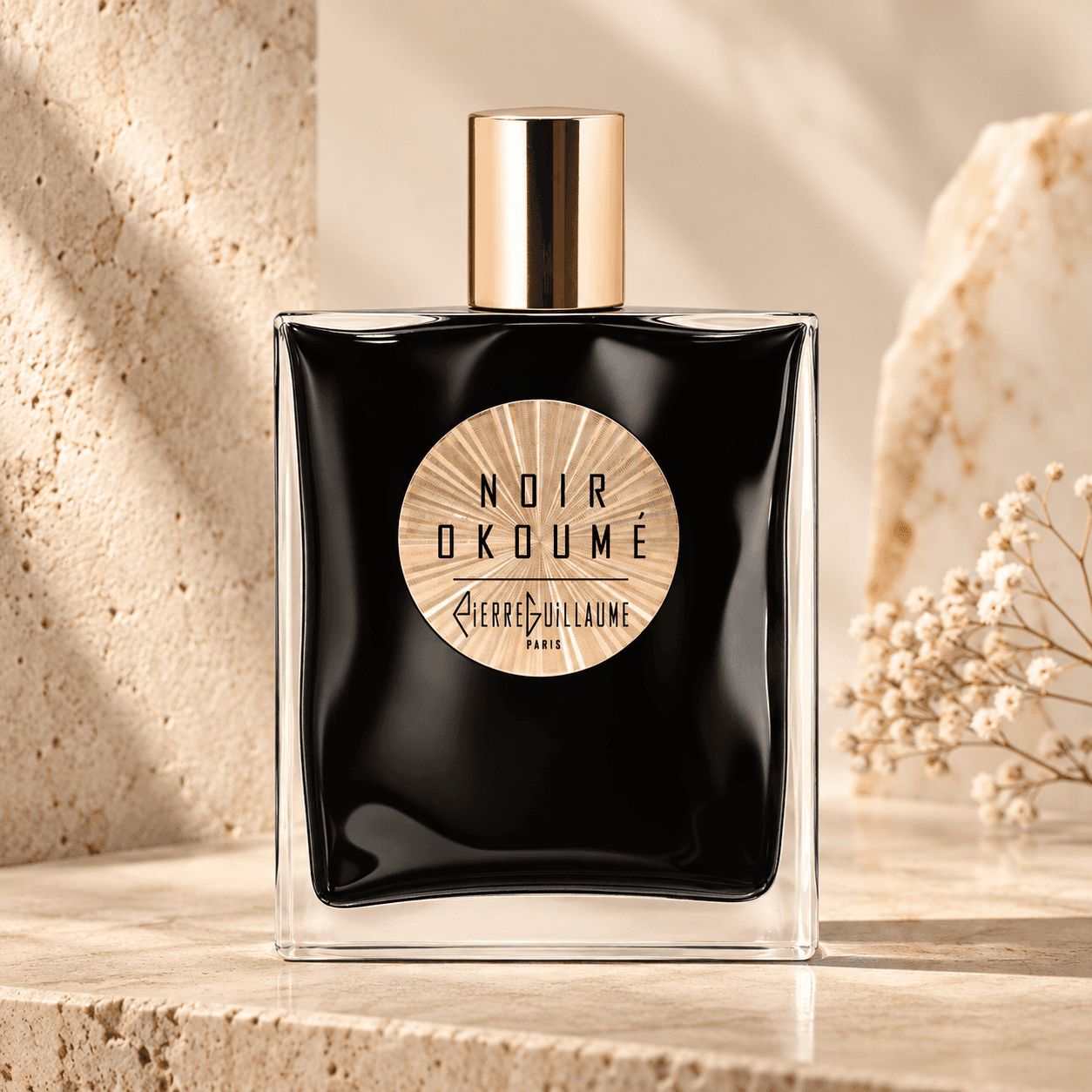 Pierre Guillaume Noir Okoume
