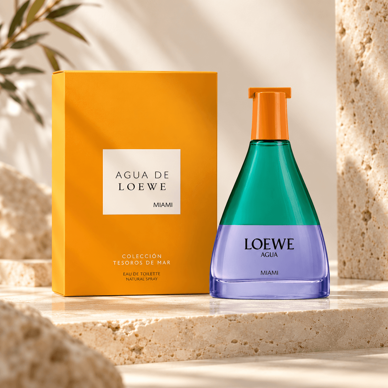 Loewe Agua Miami
