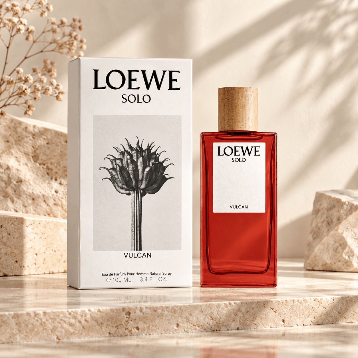 Loewe Solo Vulcan