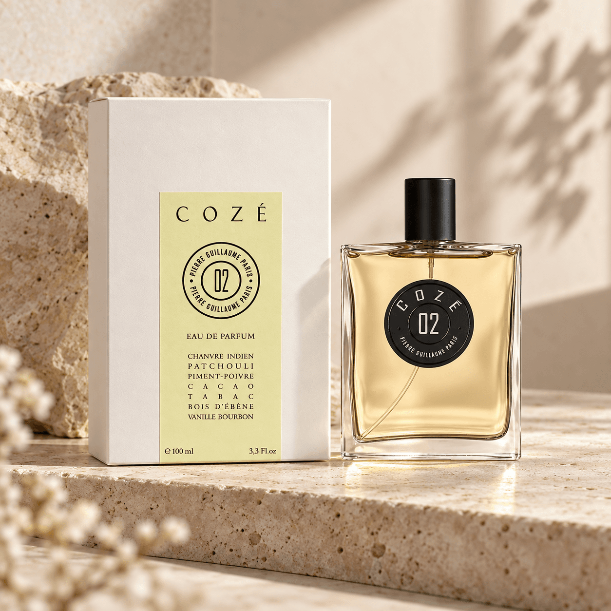 Pierre Guillaume 02 Coze