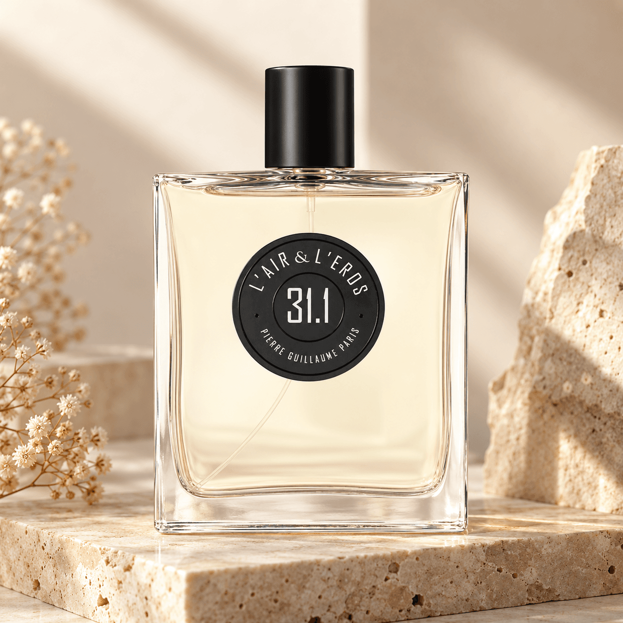 Pierre Guillaume 31.1 L'Air & L'Eros